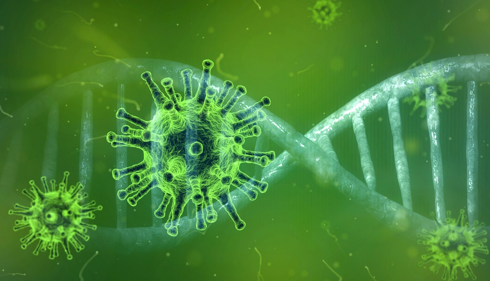 Ученые обнаружили новые способы проникновения коронавируса в клетки